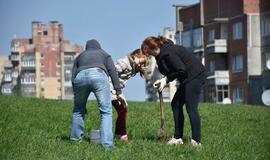 „Mogiliove" prisodino pušaičių