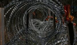 Karinės pratybos „Narsus grifonas – 2018" Giruliuose