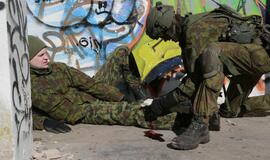 Karinės pratybos „Narsus grifonas – 2018" Giruliuose