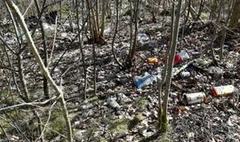 Klaipėdos rajone - didelis miško gaisras