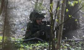 Karinės pratybos „Narsus grifonas – 2018" Giruliuose