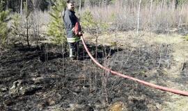 Klaipėdos rajone - didelis miško gaisras