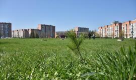 „Mogiliove" prisodino pušaičių