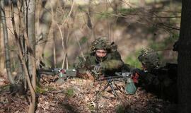 Karinės pratybos „Narsus grifonas – 2018" Giruliuose