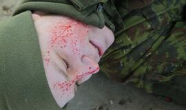 Karinės pratybos „Narsus grifonas – 2018" Giruliuose