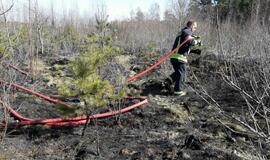 Klaipėdos rajone - didelis miško gaisras