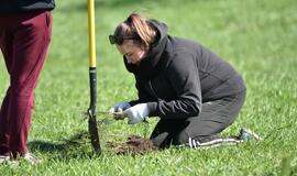 „Mogiliove" prisodino pušaičių