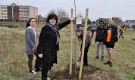 „Šimtmečio giraitė“: ąžuoliukai Klaipėdai