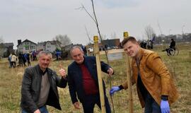 „Šimtmečio giraitė“: ąžuoliukai Klaipėdai