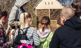 Vaikų pagaminti viešbučiai lauks pirmųjų gyventojų – bičių, vapsvų ir kitų vabzdžių