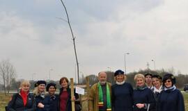 „Šimtmečio giraitė“: ąžuoliukai Klaipėdai