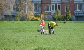 „Mogiliove" prisodino pušaičių