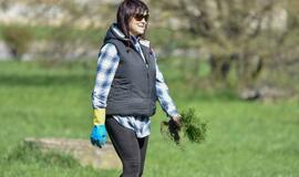 „Mogiliove" prisodino pušaičių