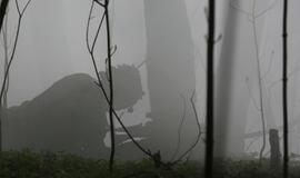 Karinės pratybos „Narsus grifonas – 2018" Giruliuose