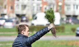 „Mogiliove" prisodino pušaičių