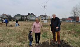 „Šimtmečio giraitė“: ąžuoliukai Klaipėdai