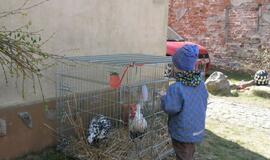 Atvelykio šventė Klaipėdoje