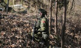 Karinės pratybos „Narsus grifonas – 2018" Giruliuose