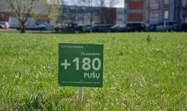 „Mogiliove" prisodino pušaičių