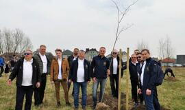 „Šimtmečio giraitė“: ąžuoliukai Klaipėdai