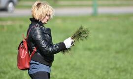 „Mogiliove" prisodino pušaičių