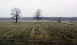 Prasideda pasėlių deklaravimas