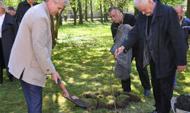 Antaną Lukoševičių primins ąžuolas