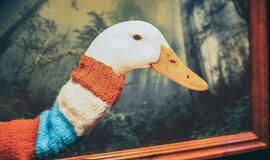 „Kad tave žąsis“ tos gyvenimo prasmės paieškos