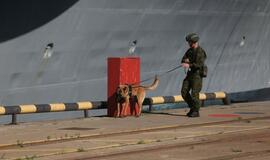 Šiandien - NATO laivų atvykimo diena