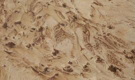 Melnragės paplūdimio korozija