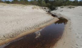 Melnragės paplūdimio korozija