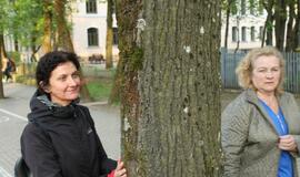 S.O.S. Šilutės medžiai