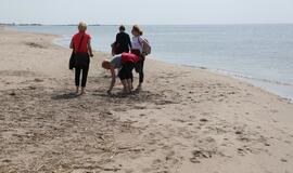 Melnragės paplūdimio korozija