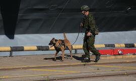 Šiandien - NATO laivų atvykimo diena