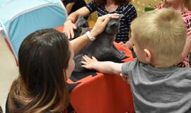 Kačių parodoje - ir miniatiūrinė pantera