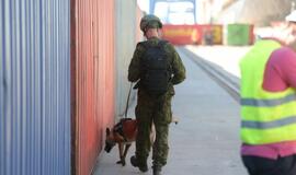 Šiandien - NATO laivų atvykimo diena