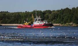 Šiandien - NATO laivų atvykimo diena