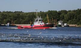 Šiandien - NATO laivų atvykimo diena