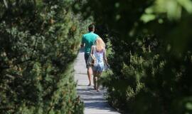 Paplūdimio nuogalės nepasimokė