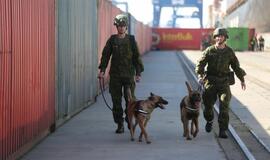 Šiandien - NATO laivų atvykimo diena