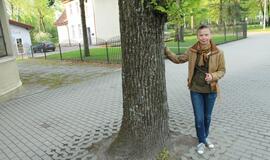 S.O.S. Šilutės medžiai