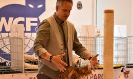 Kačių parodoje - ir miniatiūrinė pantera