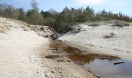 Melnragės paplūdimio korozija