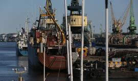 Šiandien - NATO laivų atvykimo diena