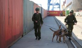 Šiandien - NATO laivų atvykimo diena