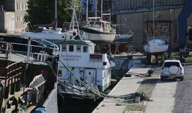 Šiandien - NATO laivų atvykimo diena