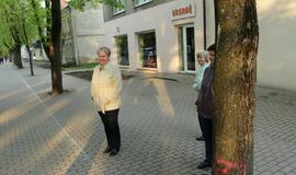 S.O.S. Šilutės medžiai