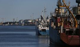 Šiandien - NATO laivų atvykimo diena