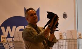 Kačių parodoje - ir miniatiūrinė pantera