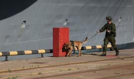 Šiandien - NATO laivų atvykimo diena